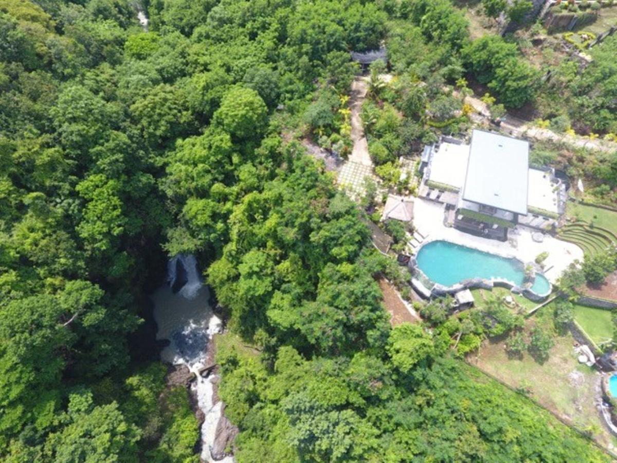 Sing Sing Resort Lovina Экстерьер фото